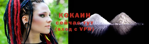 дурь Арсеньев