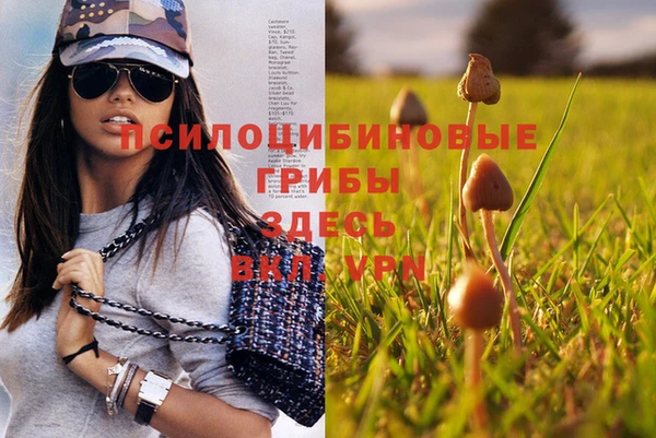 дурь Арсеньев