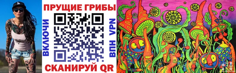 купить   Новомосковск  Псилоцибиновые грибы Psilocybine cubensis 
